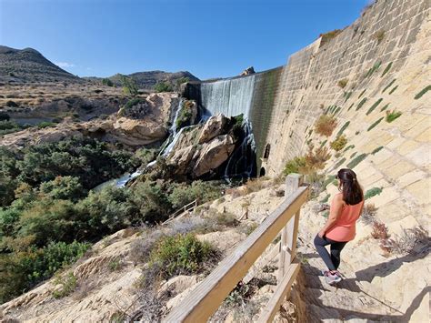 pantano de elche ruta|Ruta por el Pantano de Elche, todo lo que tienes que。